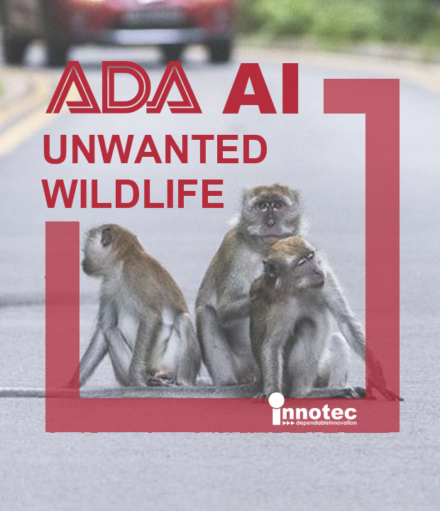 ADA Unwanted Wildlife AI